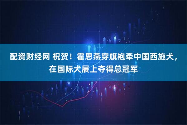 配资财经网 祝贺！霍思燕穿旗袍牵中国西施犬，在国际犬展上夺得总冠军