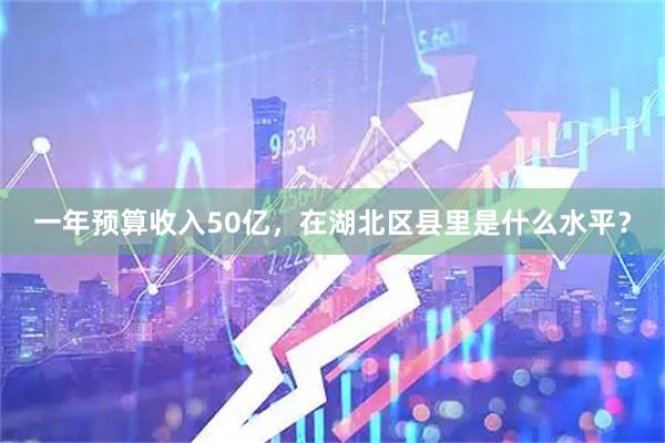 一年预算收入50亿，在湖北区县里是什么水平？