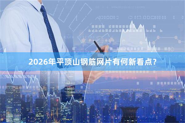 2026年平顶山钢筋网片有何新看点？