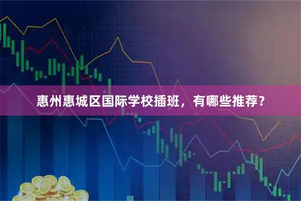 惠州惠城区国际学校插班，有哪些推荐？