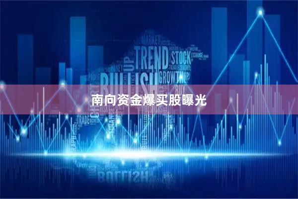 南向资金爆买股曝光