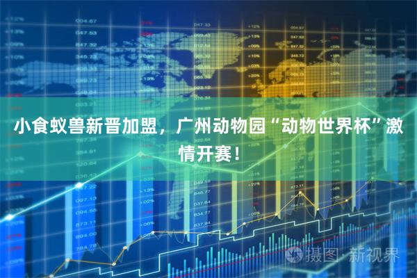 小食蚁兽新晋加盟,广州动物园“动物世界杯”激情开赛!