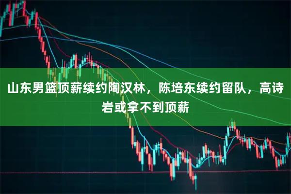 山东男篮顶薪续约陶汉林,陈培东续约留队,高诗岩或拿不到顶薪