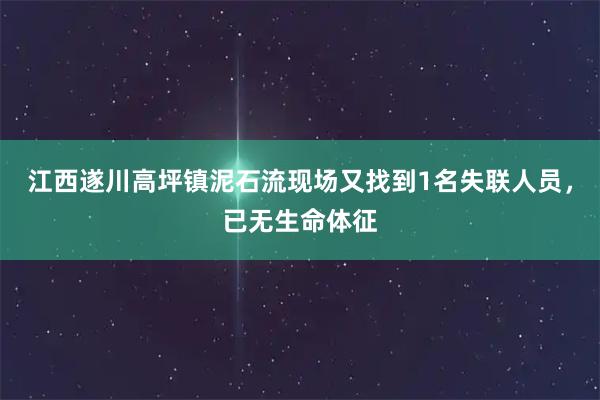 江西遂川高坪镇泥石流现场又找到1名失联人员，已无生命体征